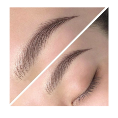 OM Nano Strokes™ Mentorship Program